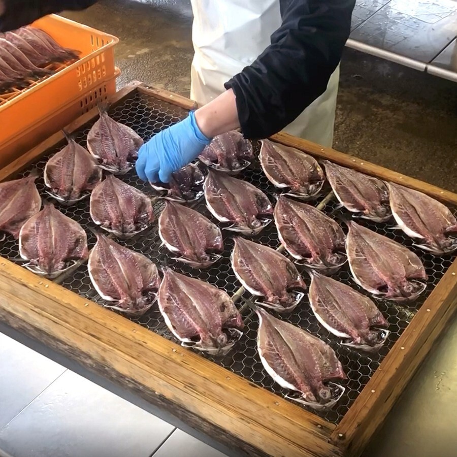 干すと魚はぐっと美味しくなります。