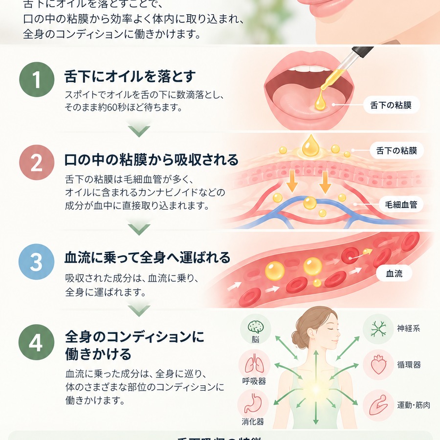 オイルの吸収