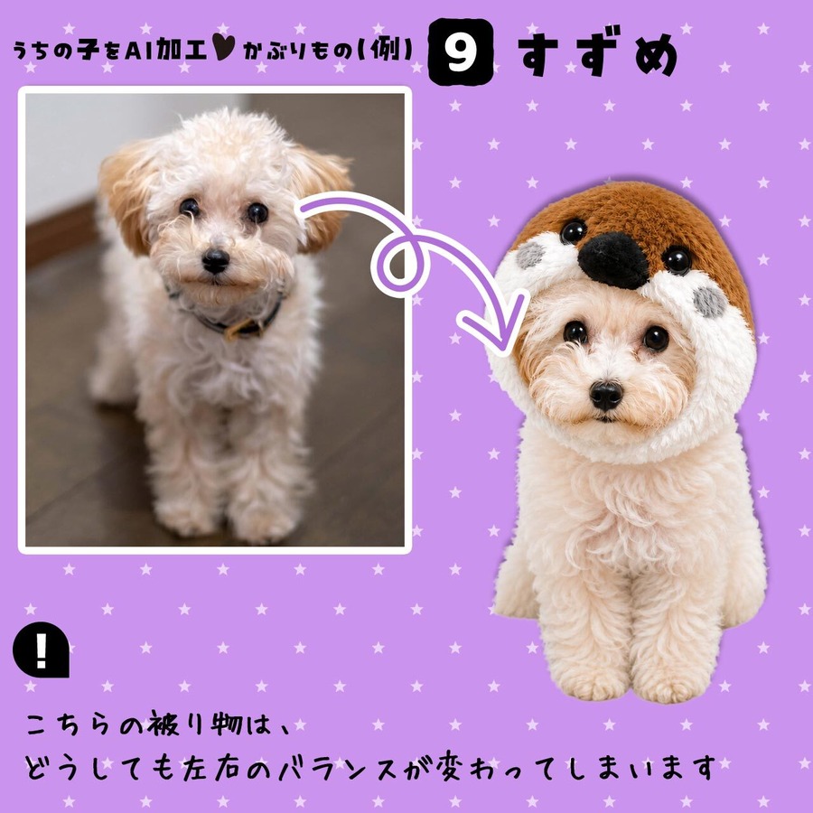 すずめの被りもの★ワンちゃん