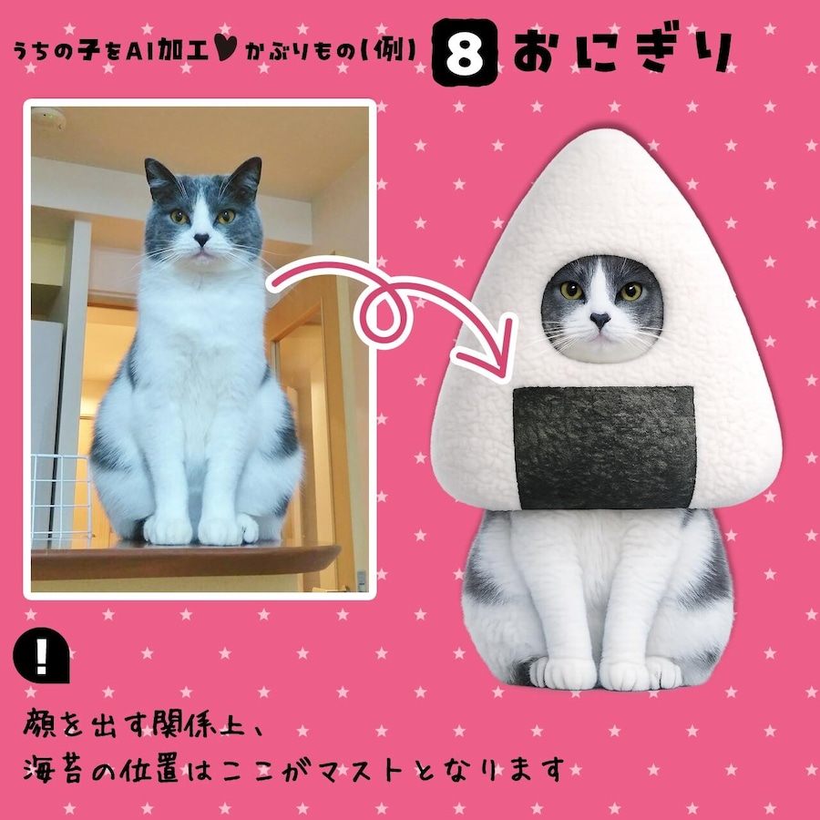 おにぎりの被りもの★猫さん