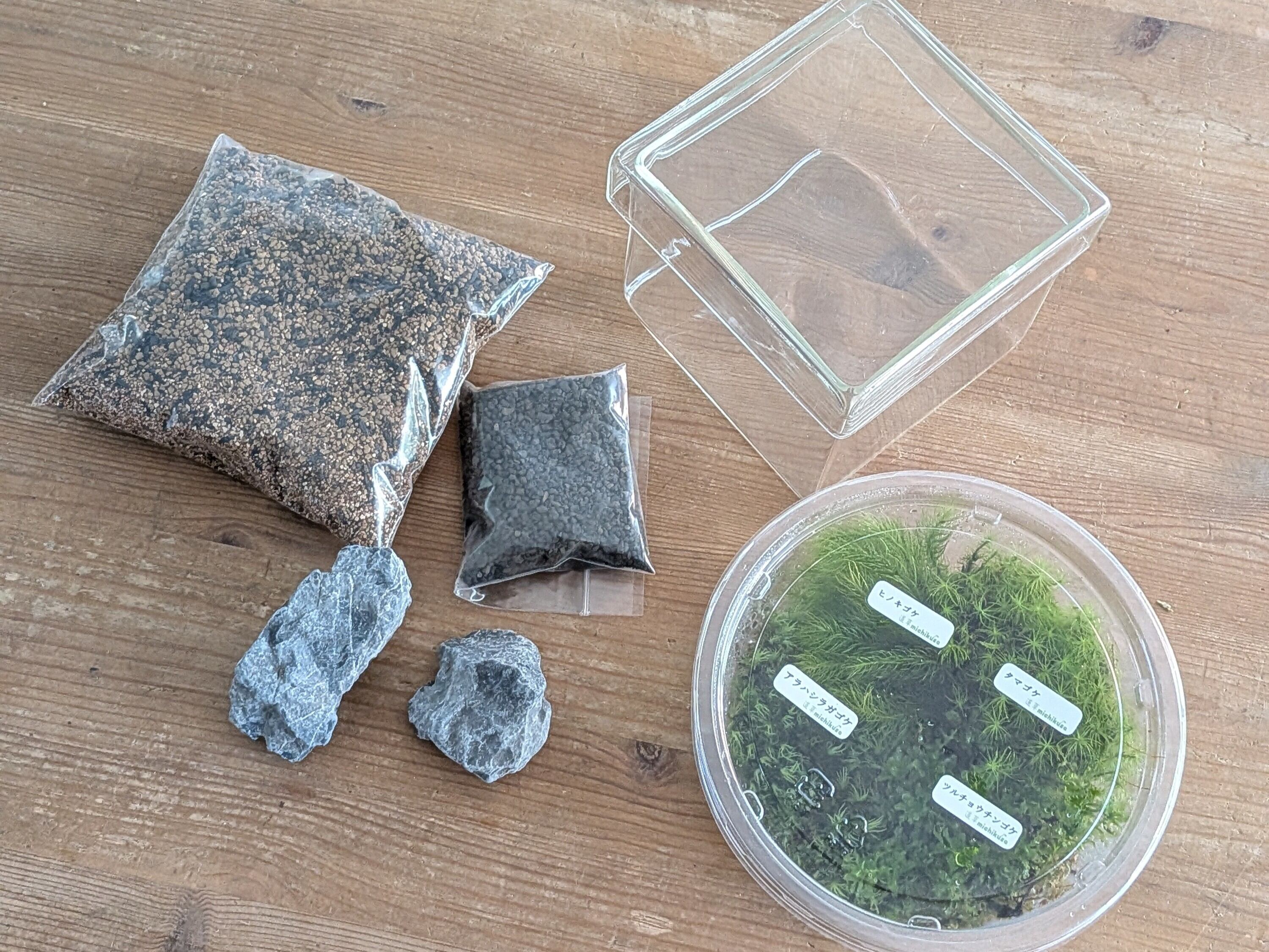 趣味の園芸7月号 掲載記念】景色をつくる苔テラリウムキット（BOX