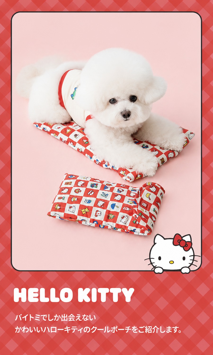 予約】［BITE ME×SANRIO］HELLO KITTY COOL POACH （Small） | a:nyu