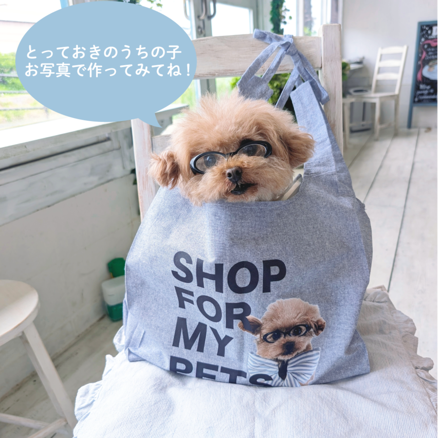 とっておきの写真を送ってね