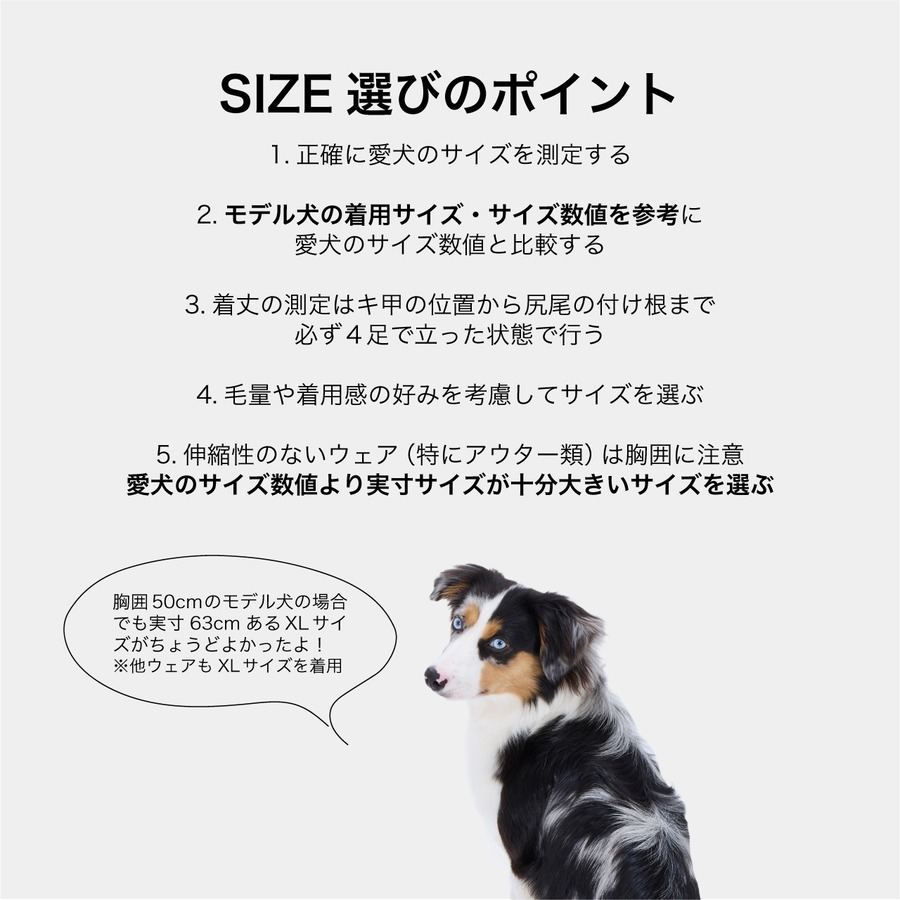 サイズ選びに注意！モデル犬の胸囲と着用サイズを要確認