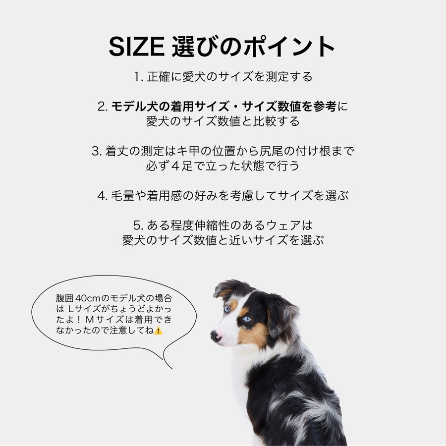 サイズ選びに注意！必ずモデル犬を確認してください