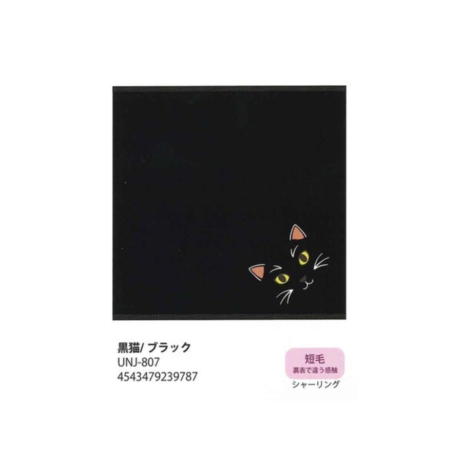 黒猫