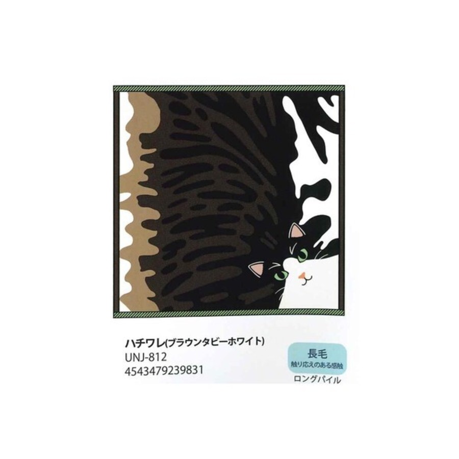 ハチワレ