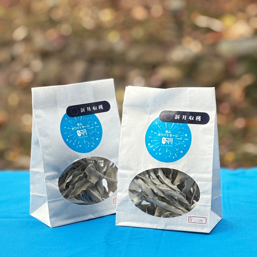 ハーブガーデンてんで収穫したホワイトセージは1袋1100円