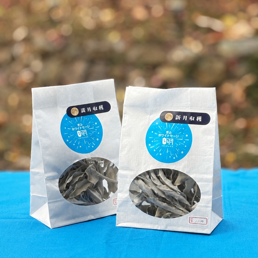 ハーブガーデンてんで収穫したホワイトセージは1袋1100円