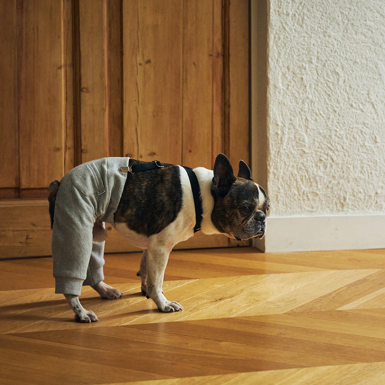 SUSPENDER PANTS（S.M） サスペンダーパンツ | MANDARINE BROTHERS