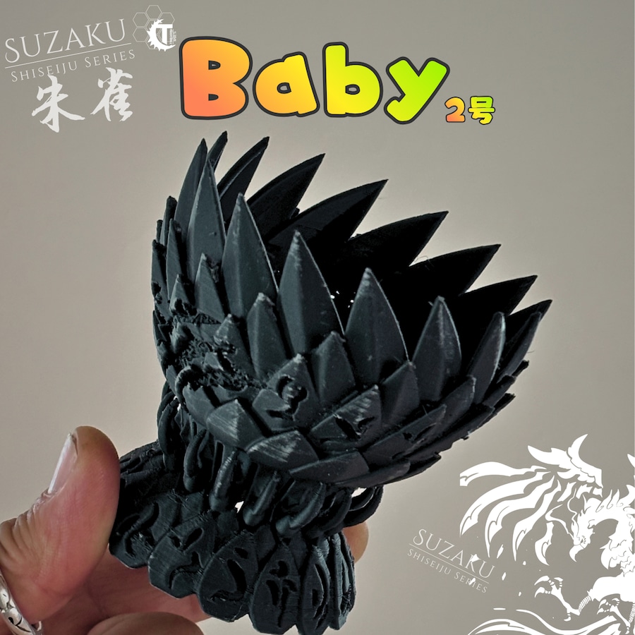 小品盆栽・小型塊根 専用
