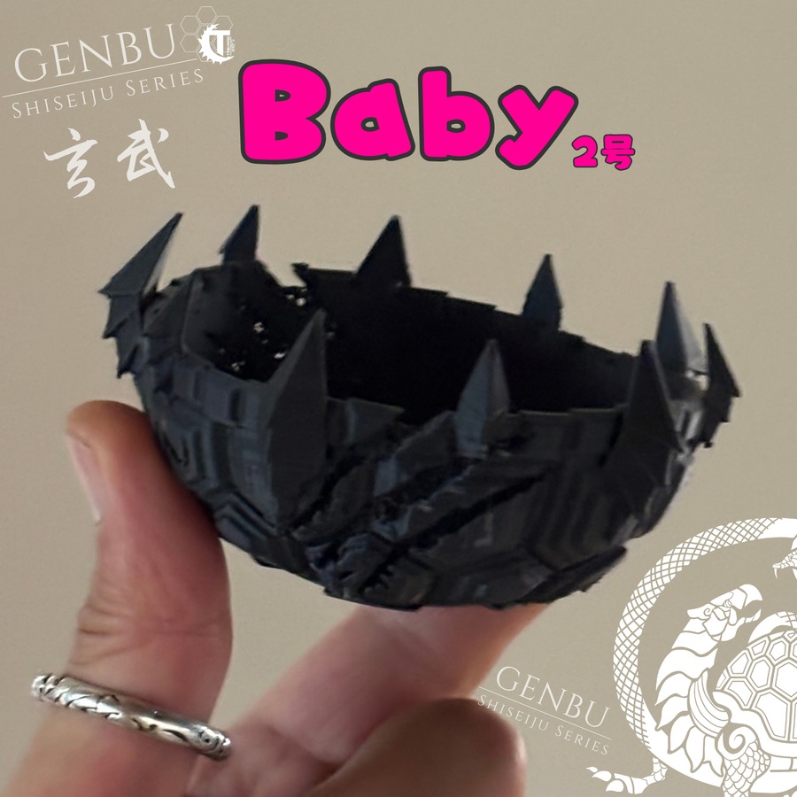 小品盆栽・小型塊根 専用