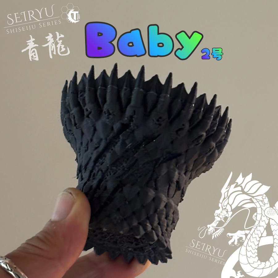 小品盆栽・小型塊根 専用
