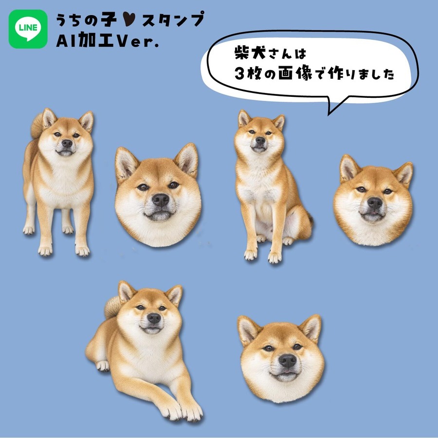 使用した写真は3枚