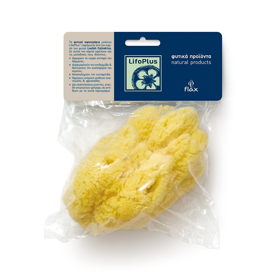 NATURAL SEA SPONGE REGULAR - 1,650yen