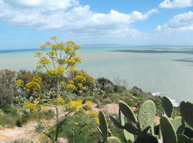 岬から望むエメラルドグリーンの海