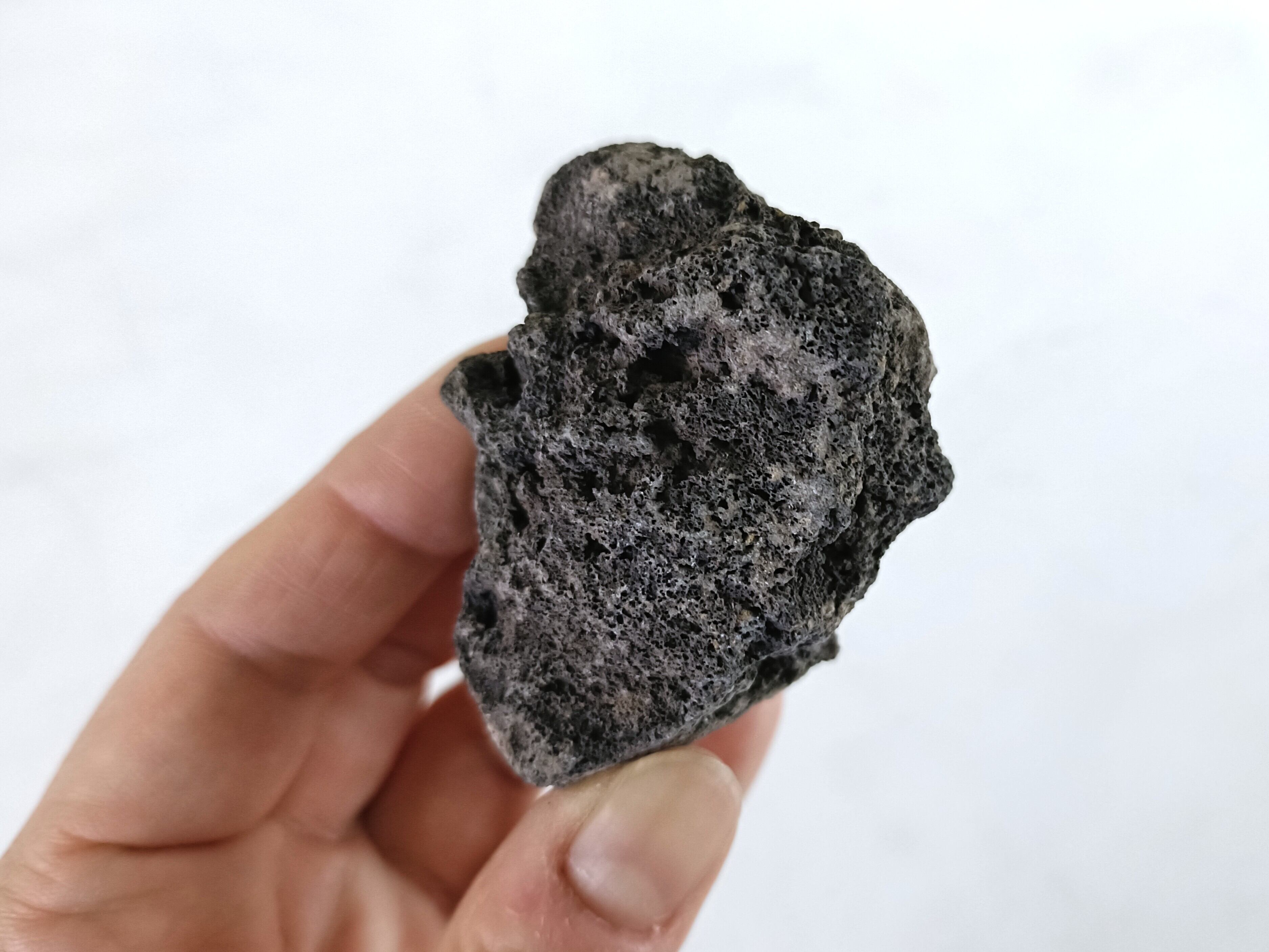 溶岩石 Mサイズ（4〜6㎝）2〜4個入り【レイアウト用・着生用】 | 苔