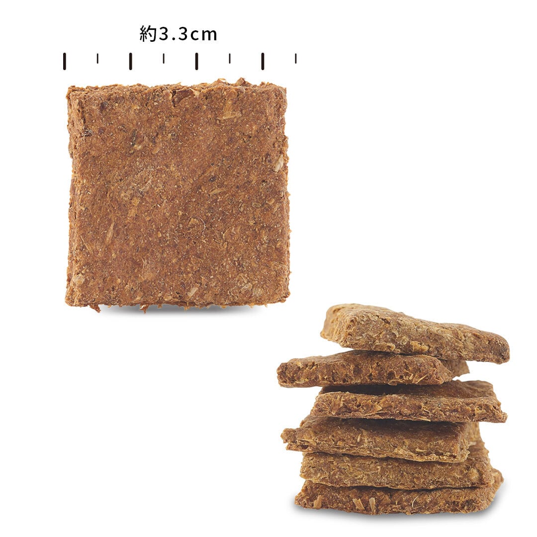 ワンちゃんと乾杯用に】パンプキンブリュービスケット〈税込価格