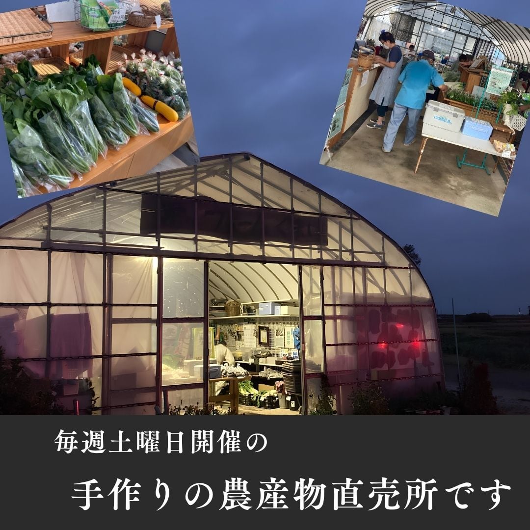 土曜発送◇朝採り新鮮野菜セット 8点 6月 近隣農家直送の旬をお届け