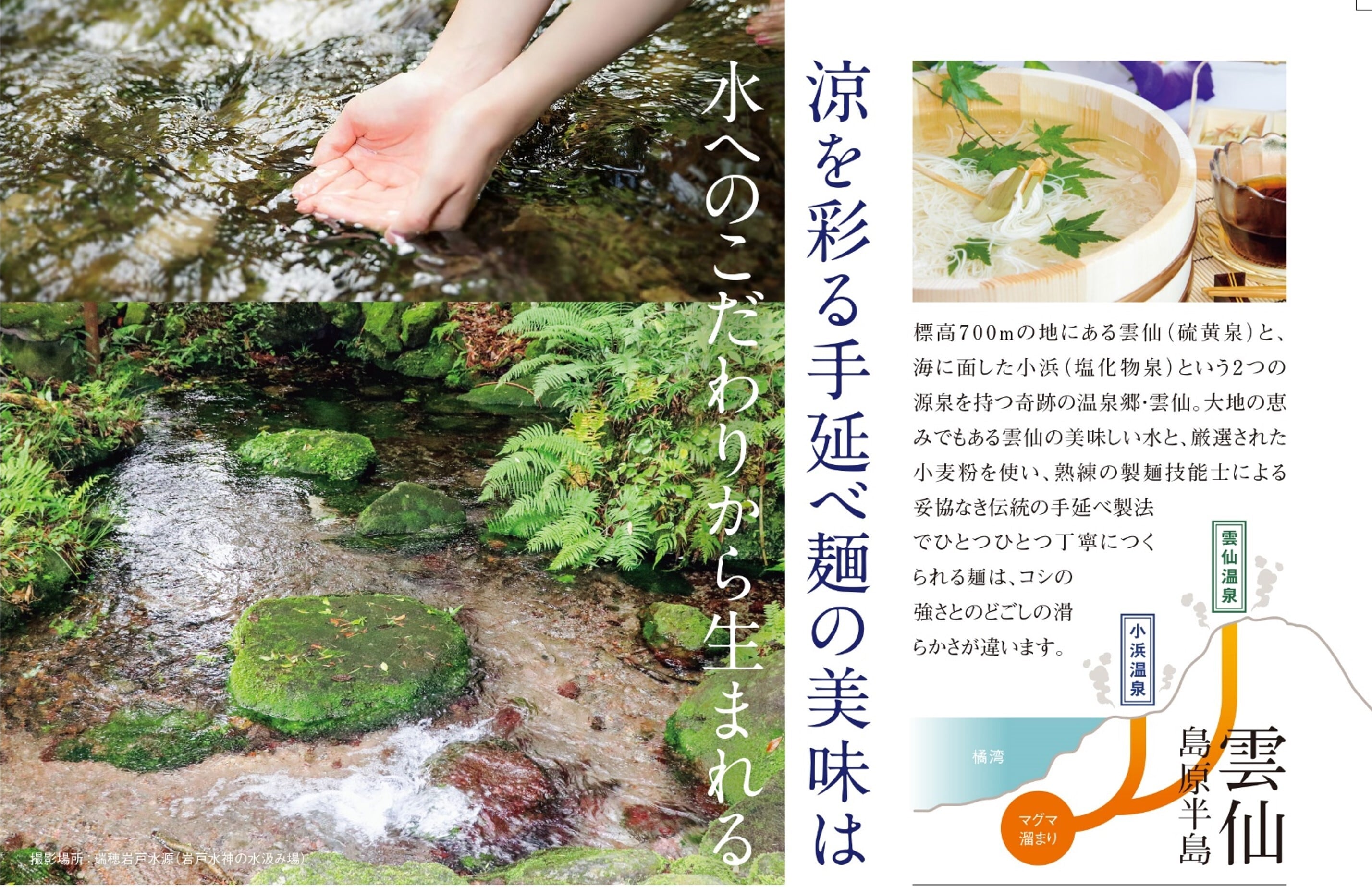 自然栽培(全20巻) 自然栽培 Vol．20 / 木村秋則/農業ルネサンス『自然栽培』編集部