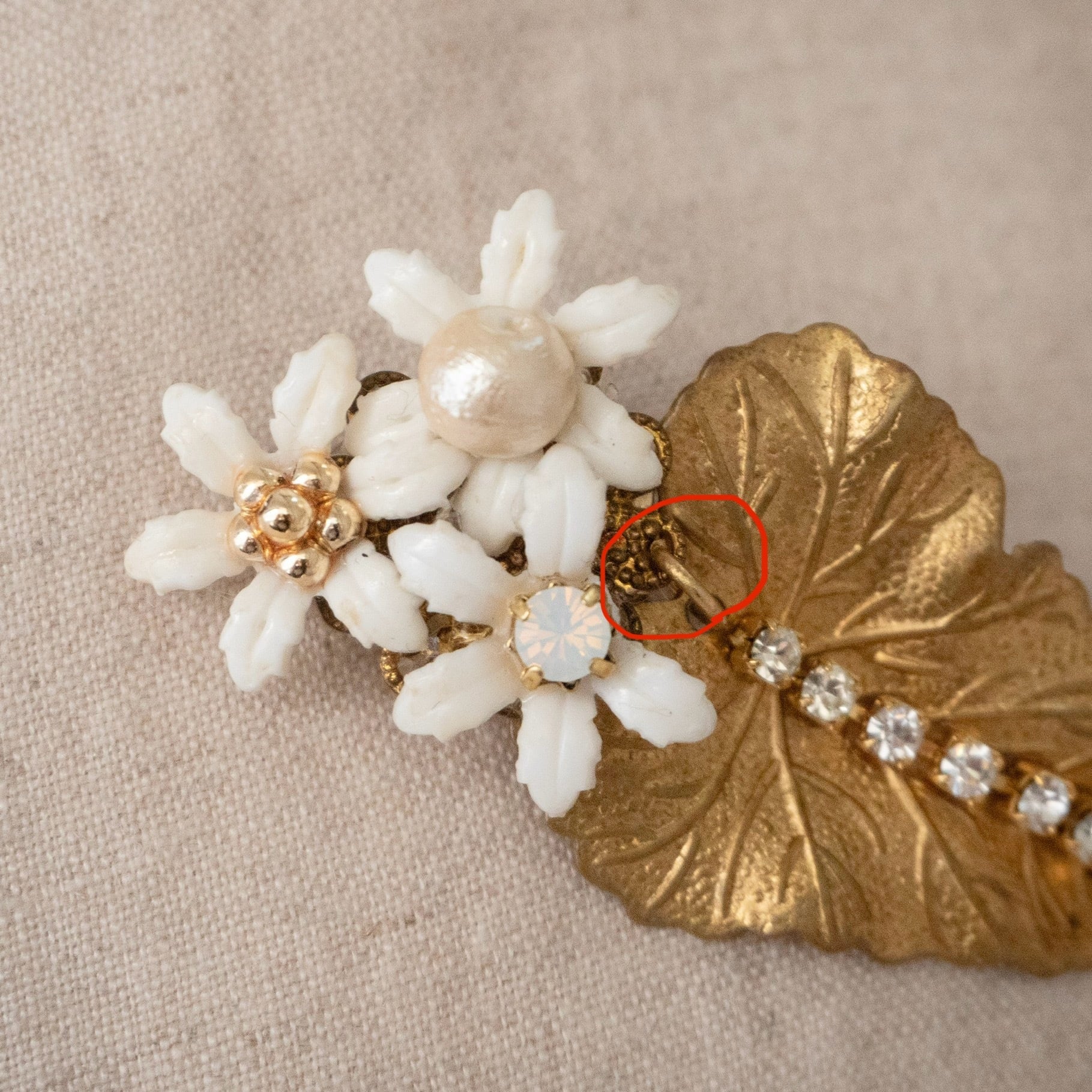 赤で囲った部分の花びらが欠けています(片耳分のみ)