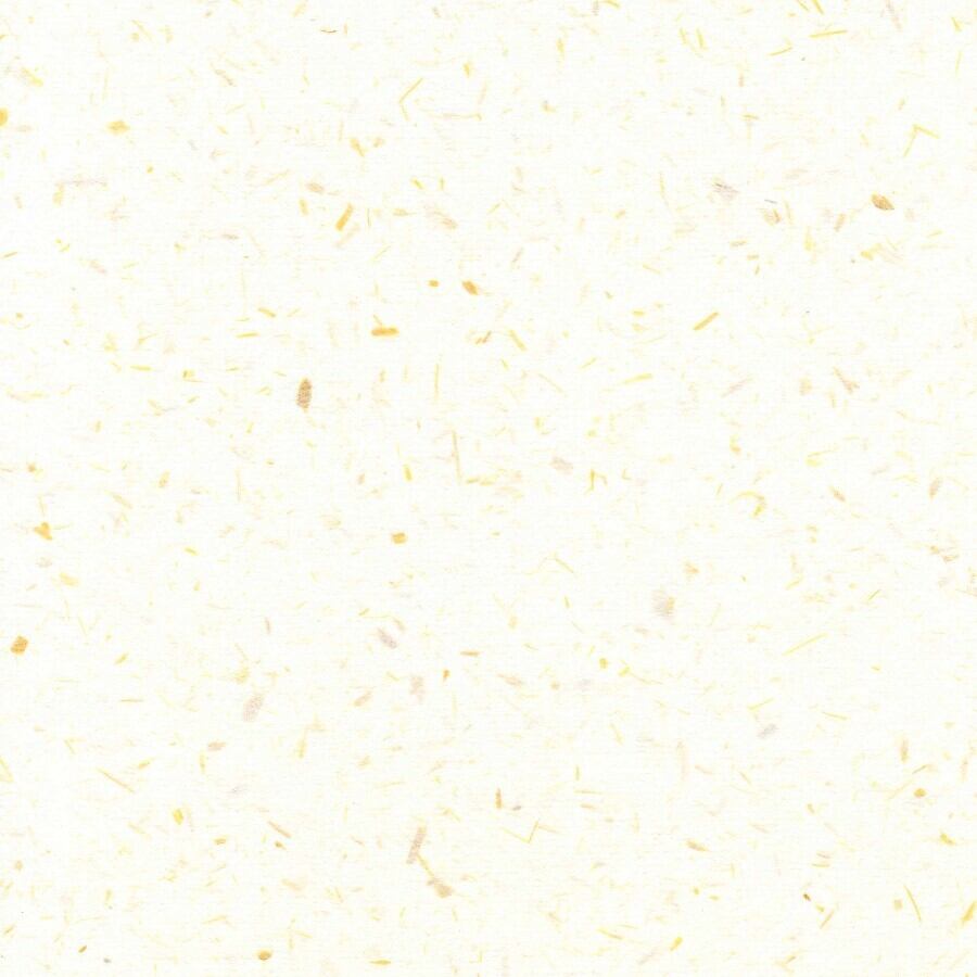 210　ケナフ幹入り白