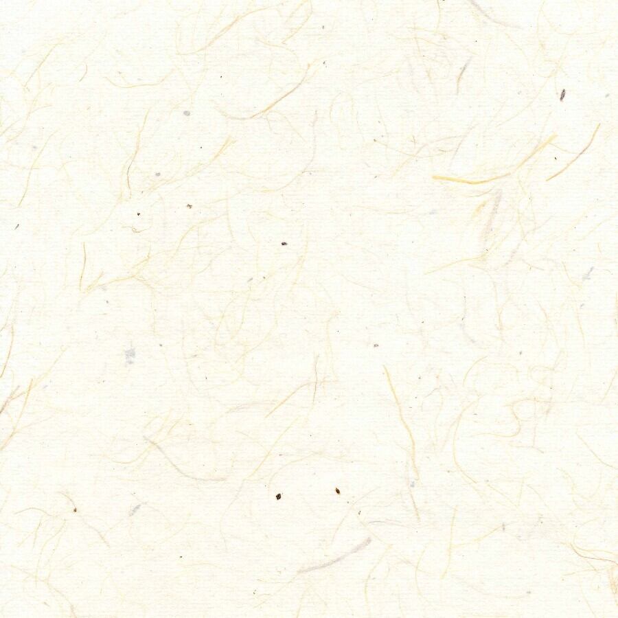 191　ケナフ皮入り白