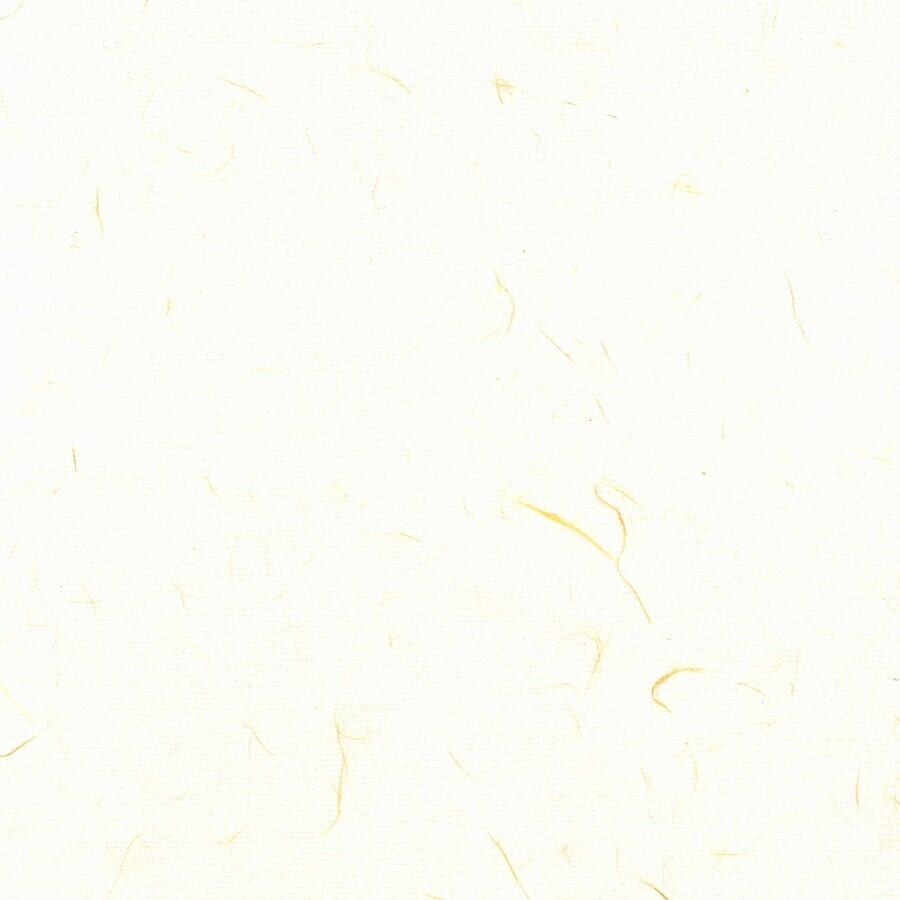 250　雁皮入り白