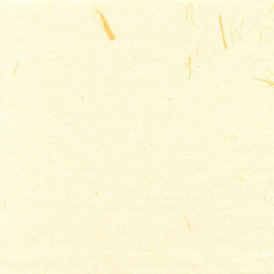 251　雁皮入り黄