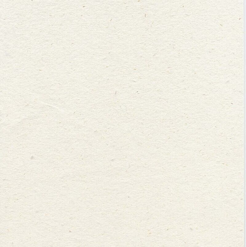 BK-162　樹アイボリー