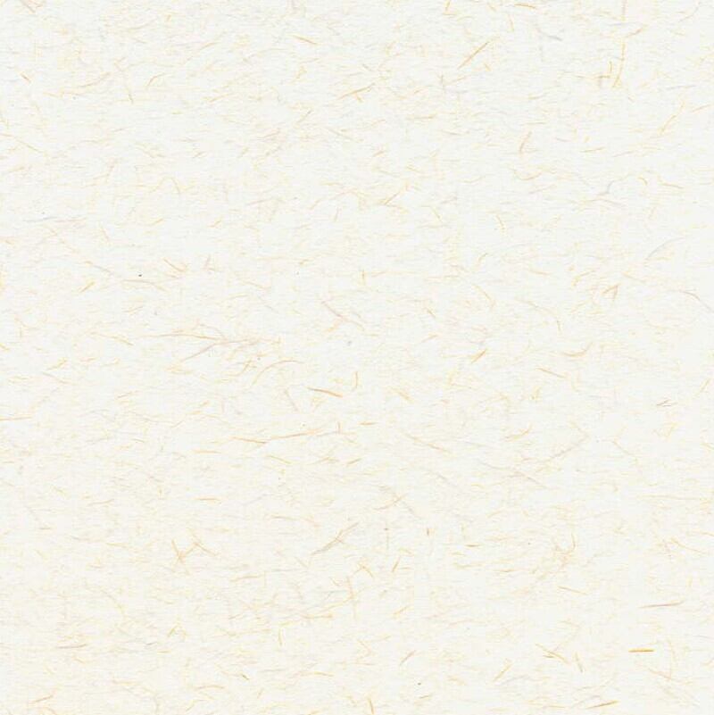 BK-164　樹アイボリー