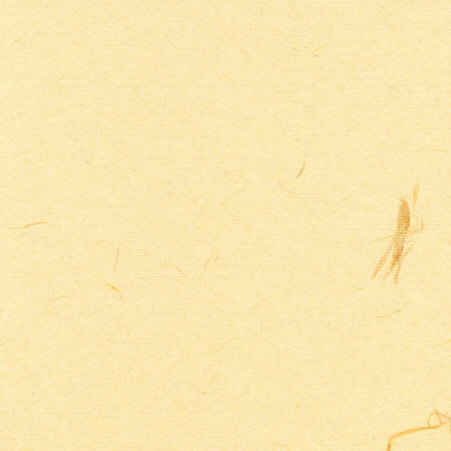 BK-253　雁皮入り