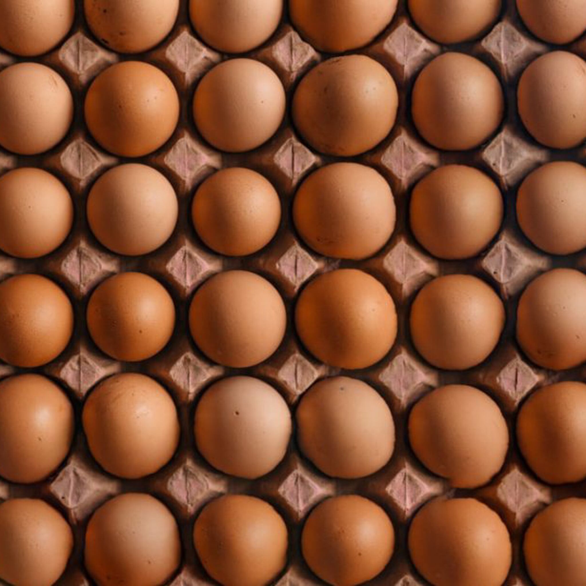 もみじたまご抗生物質は一切使用していません