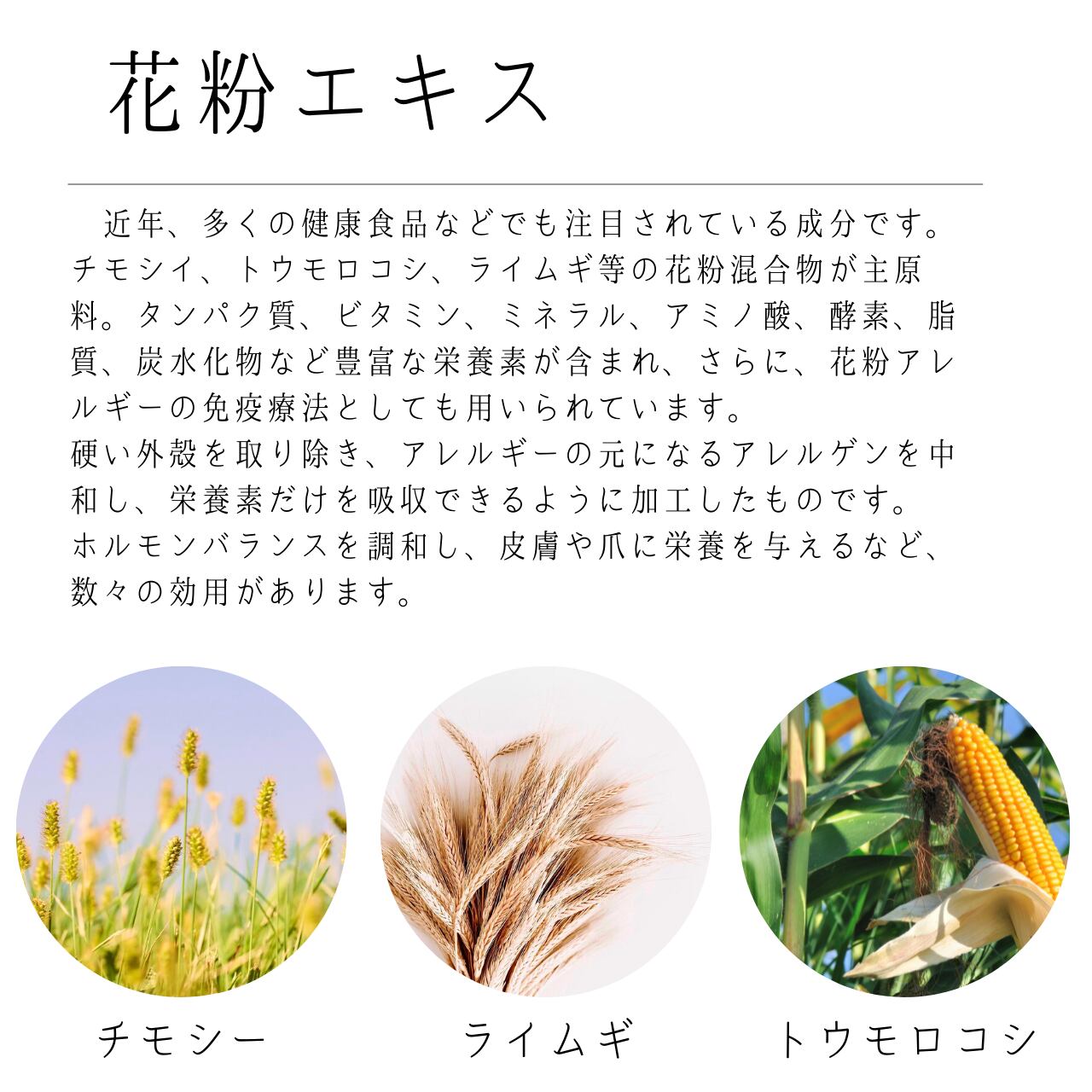 STOTWO モイスチャーローション120ml＆H3ローション120mlセット STOTWO モイスチャーローション120ml＆H3ローション120mlセット