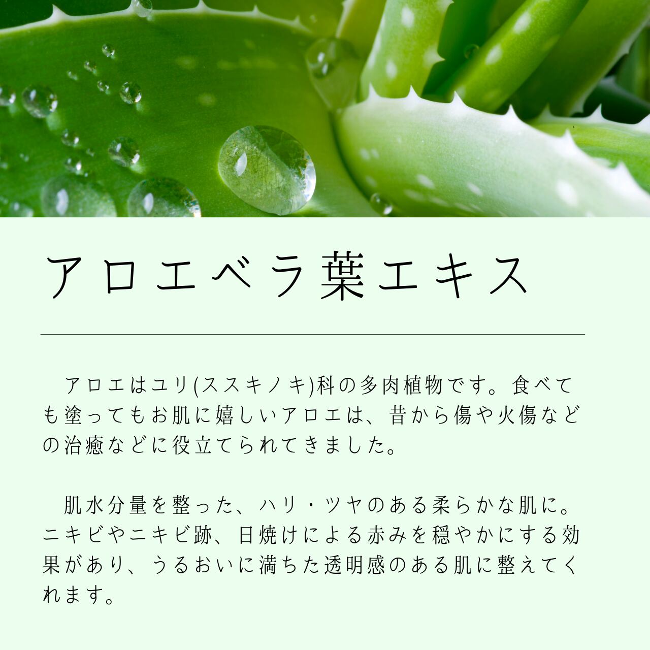 STOTWO モイスチャーローション120ml＆H3ローション120mlセット モイスチャーローション 120ml STOTWO ストツ | ストツ STOTWO