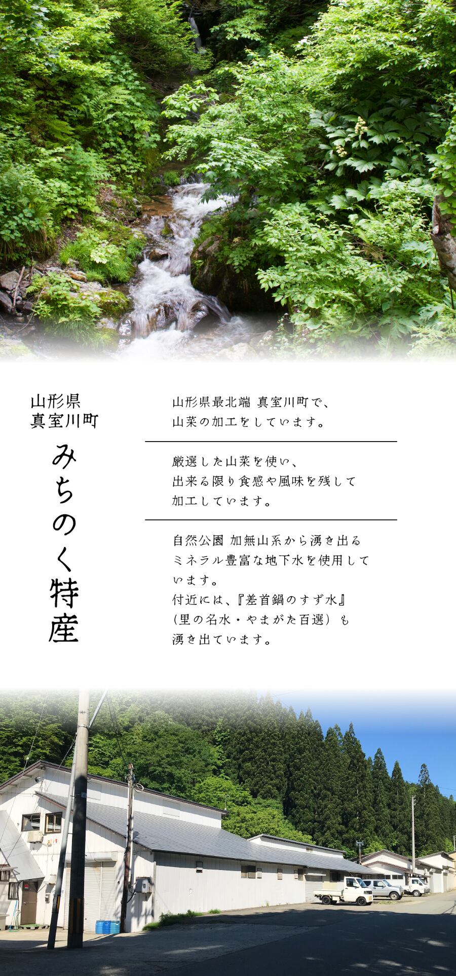 国産ひめ筍 水煮 ｜ 国産原料使用・山形県自社工場製造 ｜ 炒め物