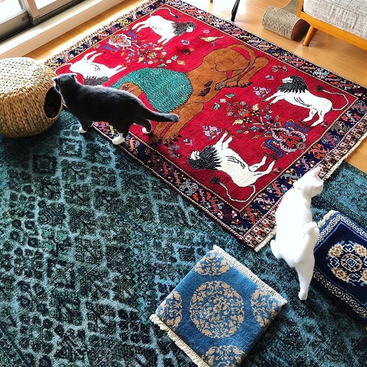 お持ちのブルーのラグとライオンの個性的な立髪で「色の繋がり感」を持たせた、オシャレなコーディネート