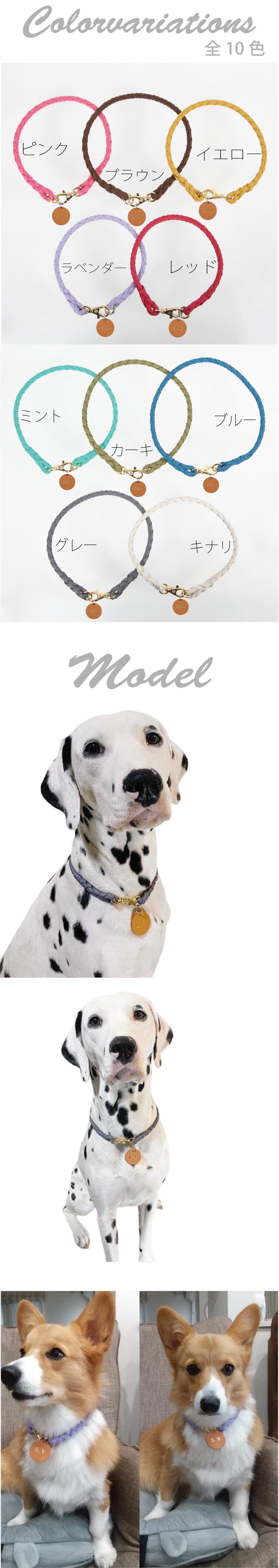 犬服・アクセサリー AY61 犬服・アクセサリー AY61 md101061.jpg