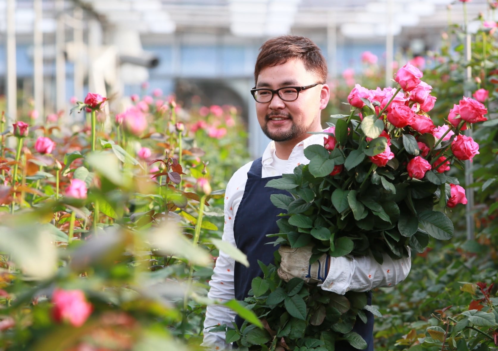 神田ばら園 10本 ☆バラ品種名： オール4ラブ | 新鮮お花問屋 Jp
