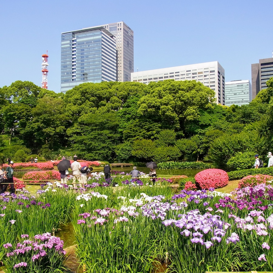 Japanese Garden