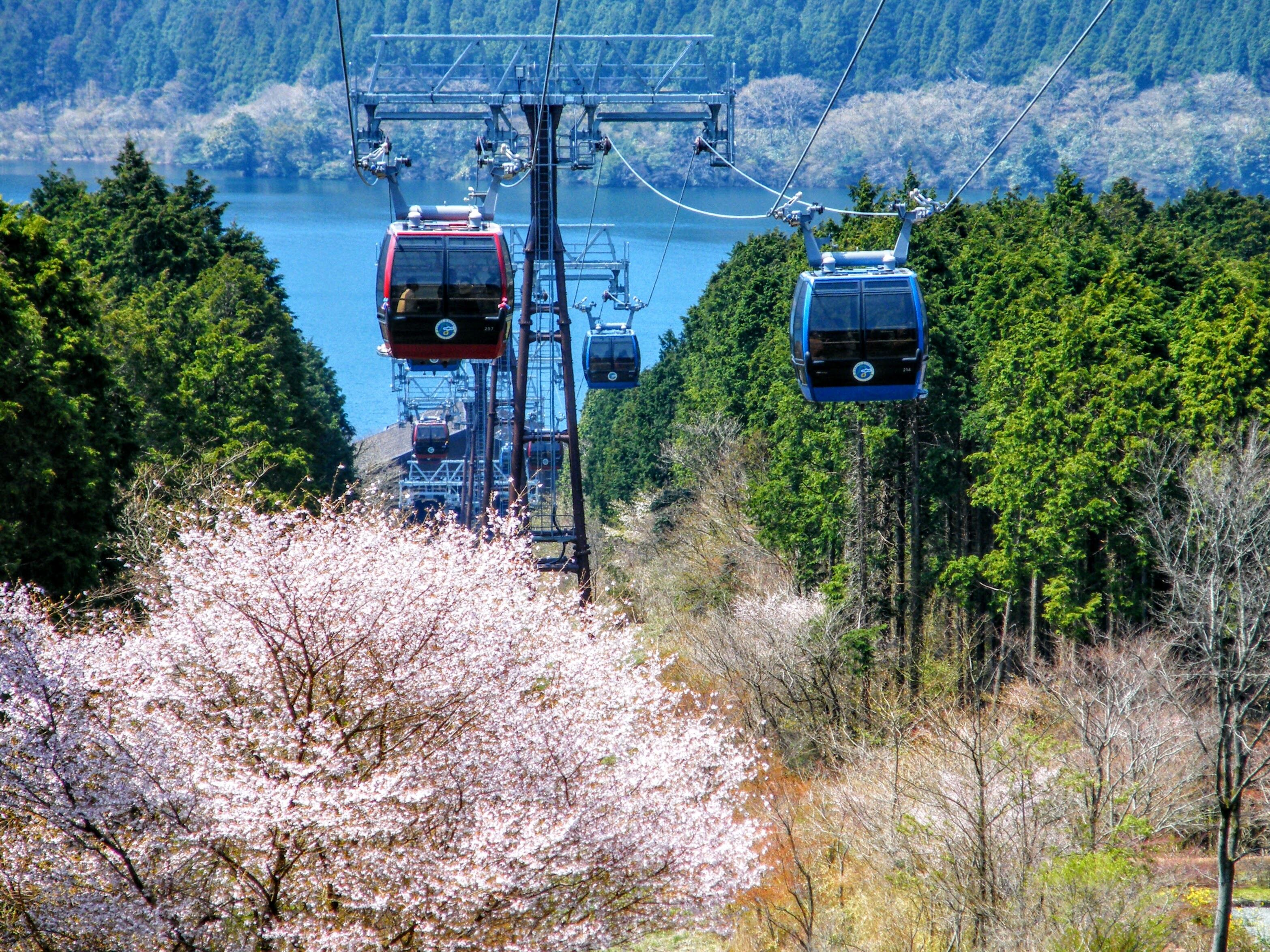 Hakone Ropeway