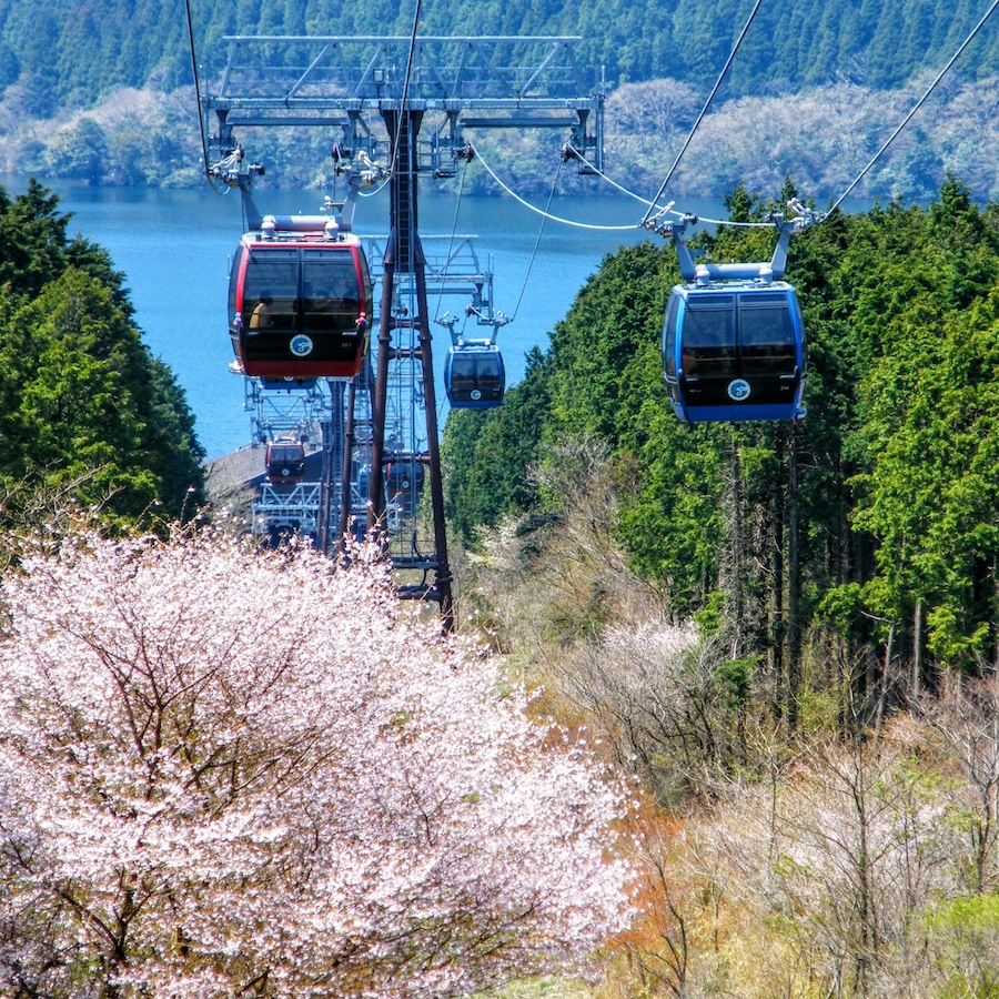 Hakone Ropeway