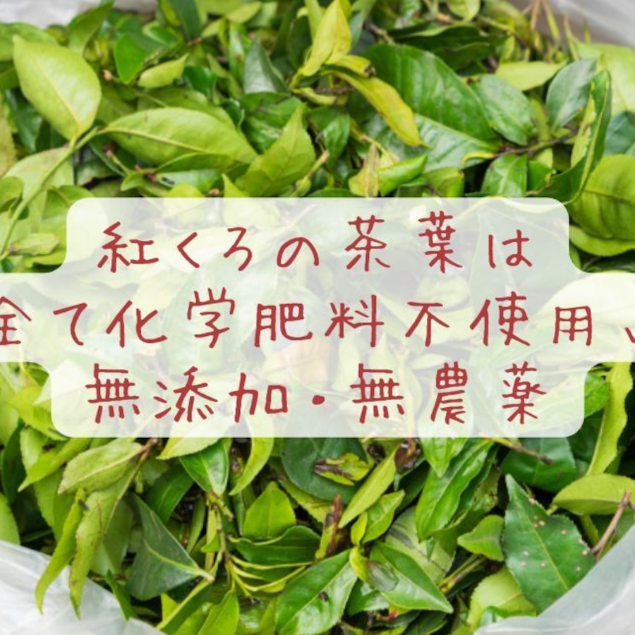 紅くろのお茶は、全て無添加・無香料・無農薬・化学肥料不使用