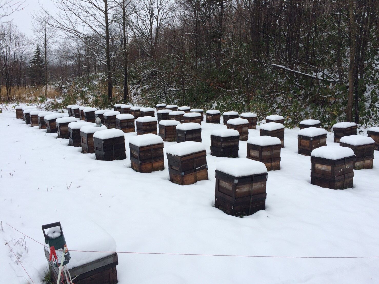 10月頃の北海道の蜂箱の様子