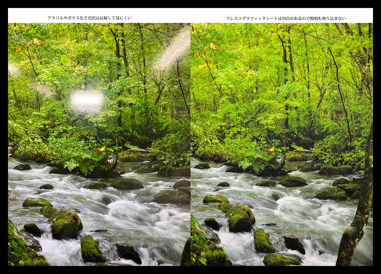 写真用紙との比較　右がフレスコ聚楽