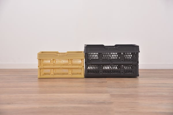 左：Mサイズ　右：Lサイズ