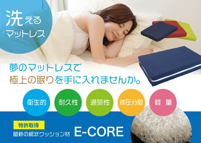 E-COREピロー【L型】 | E-CORE SHOP