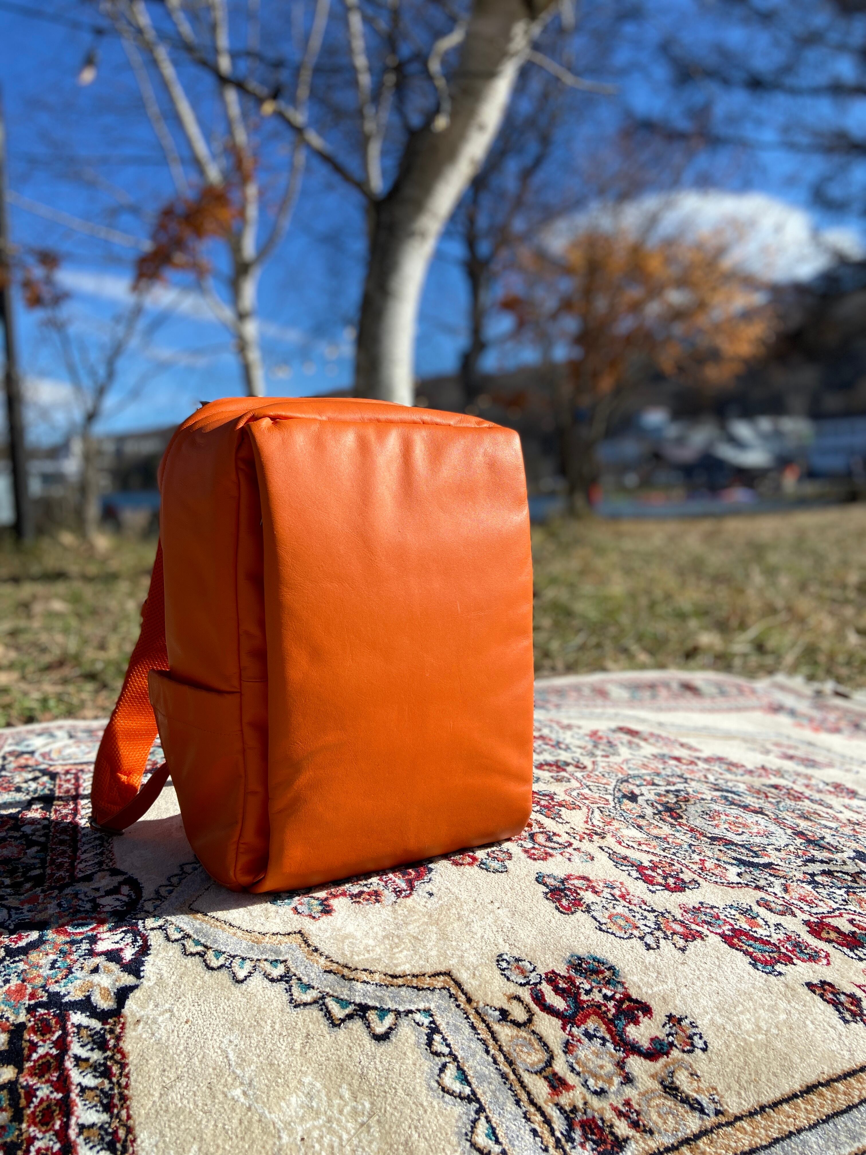 プロトタイプ・非売品