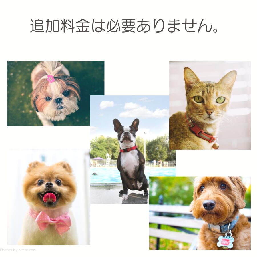 首輪や小さなアクセサリーには追加料金は発生しません。
