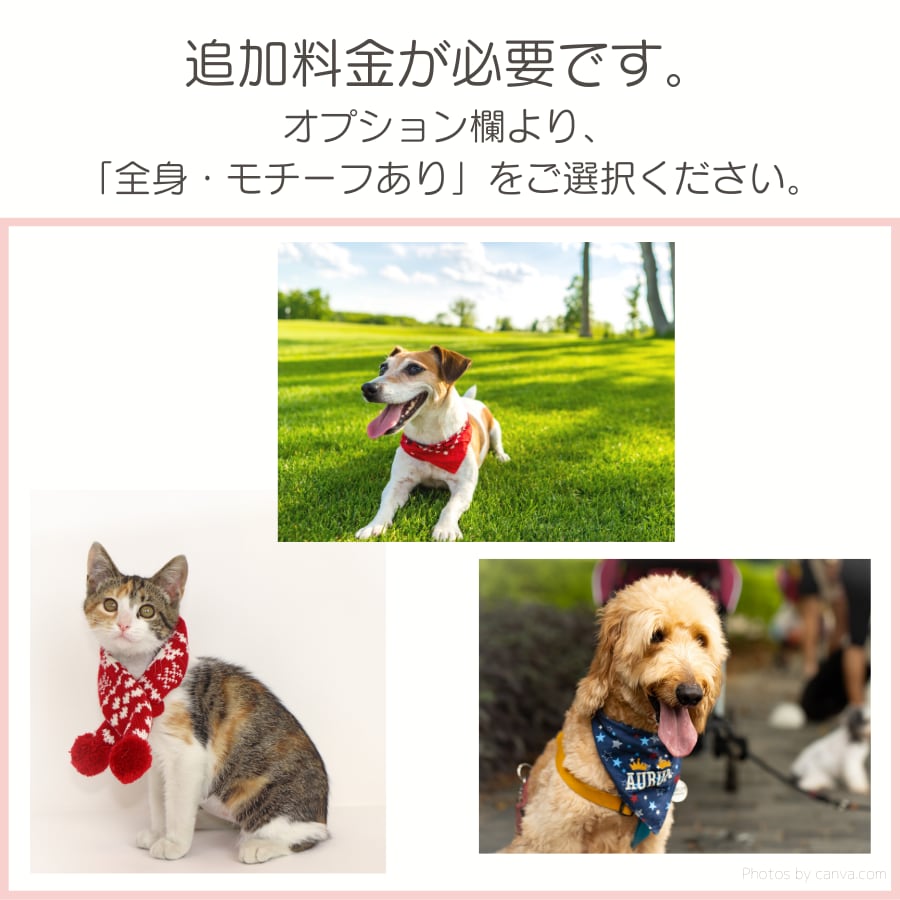 全身描写の場合、服やバンダナ等、面積の広いものや複雑なものには追加料金が発生します。